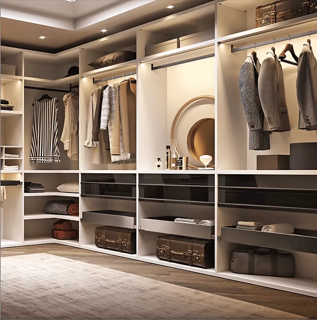 Проект гардеробной из корпусной мебели: идеи и дизайн, гардеробные системы