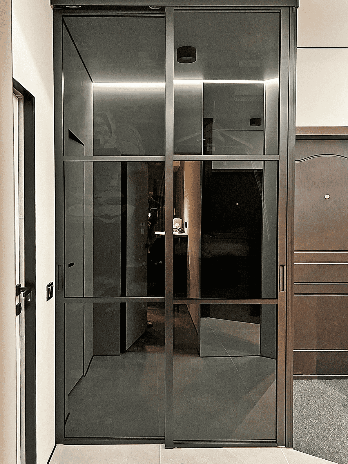 Двери-купе для гардеробной с тонированным стеклом