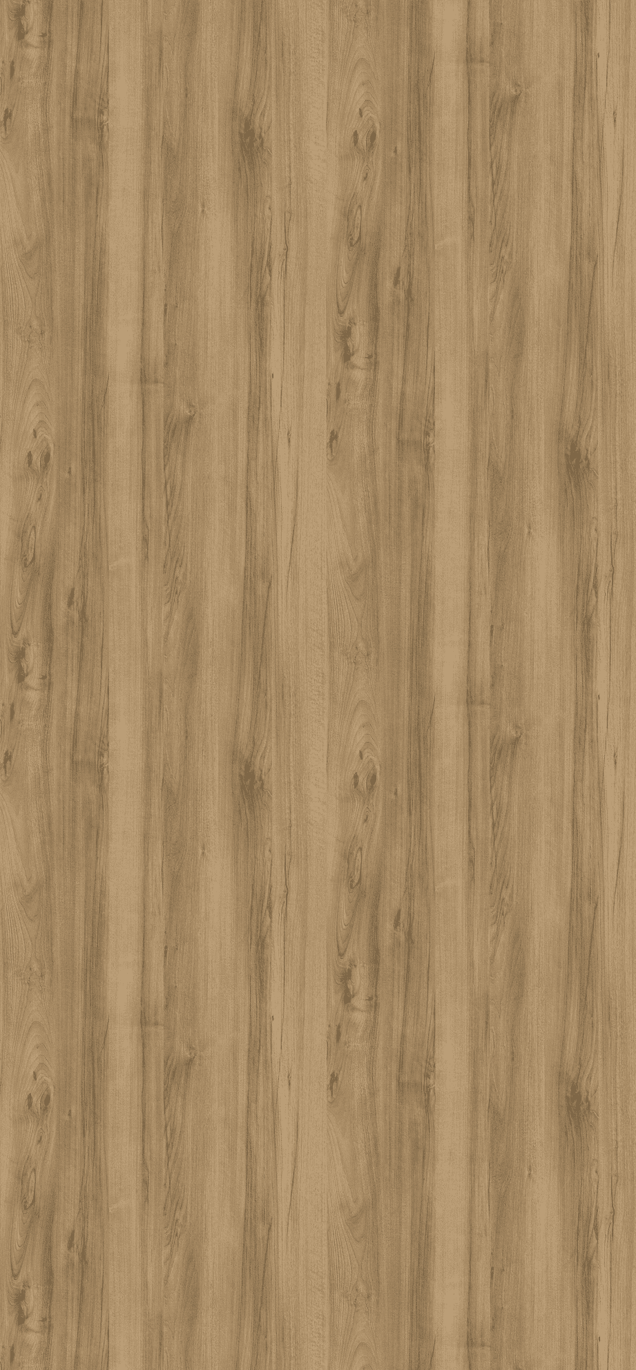 EGGER H3700 H3700 ST10  БУК БЕЛЫЙ — декор